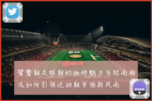 鸳鸯鞋足球鞋的独特魅力与时尚潮流如何引领运动鞋市场新风尚