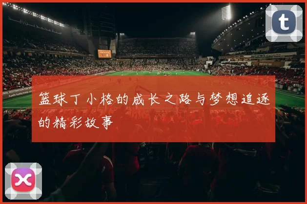 篮球丁小格的成长之路与梦想追逐的精彩故事
