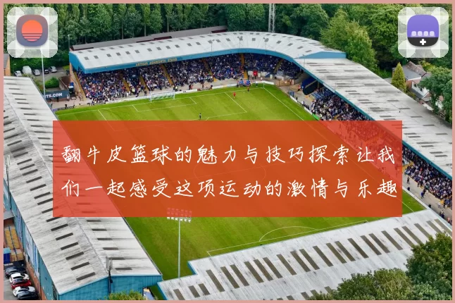 翻牛皮篮球的魅力与技巧探索让我们一起感受这项运动的激情与乐趣